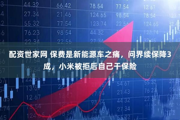 配资世家网 保费是新能源车之痛，问界续保降3成，小米被拒后自己干保险
